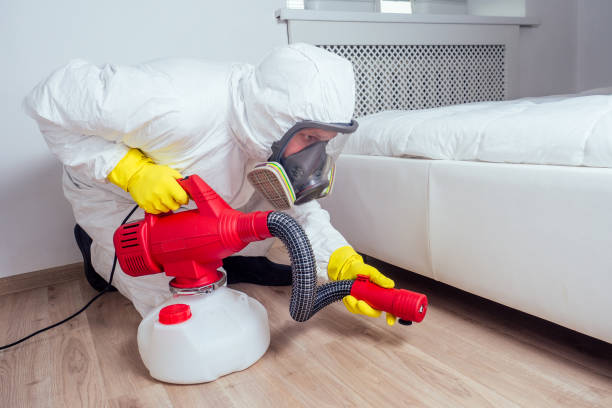 Best Bed Bug Extermination  in Prospect, OH