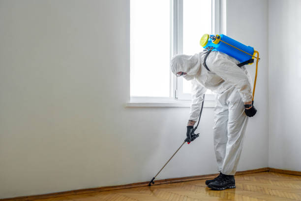 Best Exterminator Services  in Prospect, OH