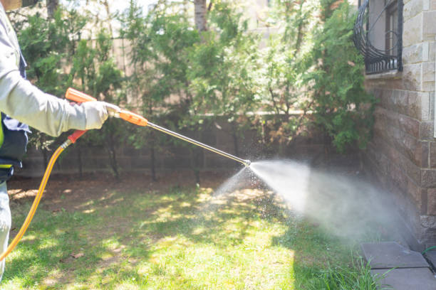 Best Exterminator Services  in Prospect, OH