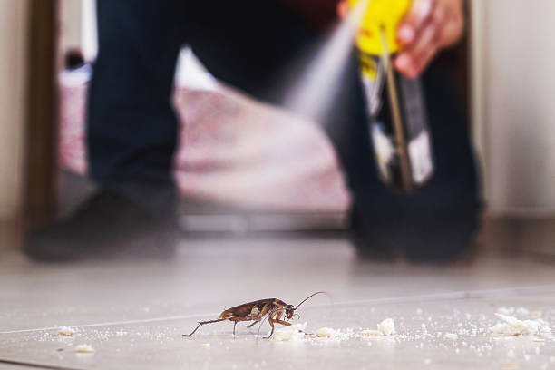 Best Best Pest Control Companies  in Prospect, OH